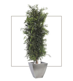 Slim Willow Pepper