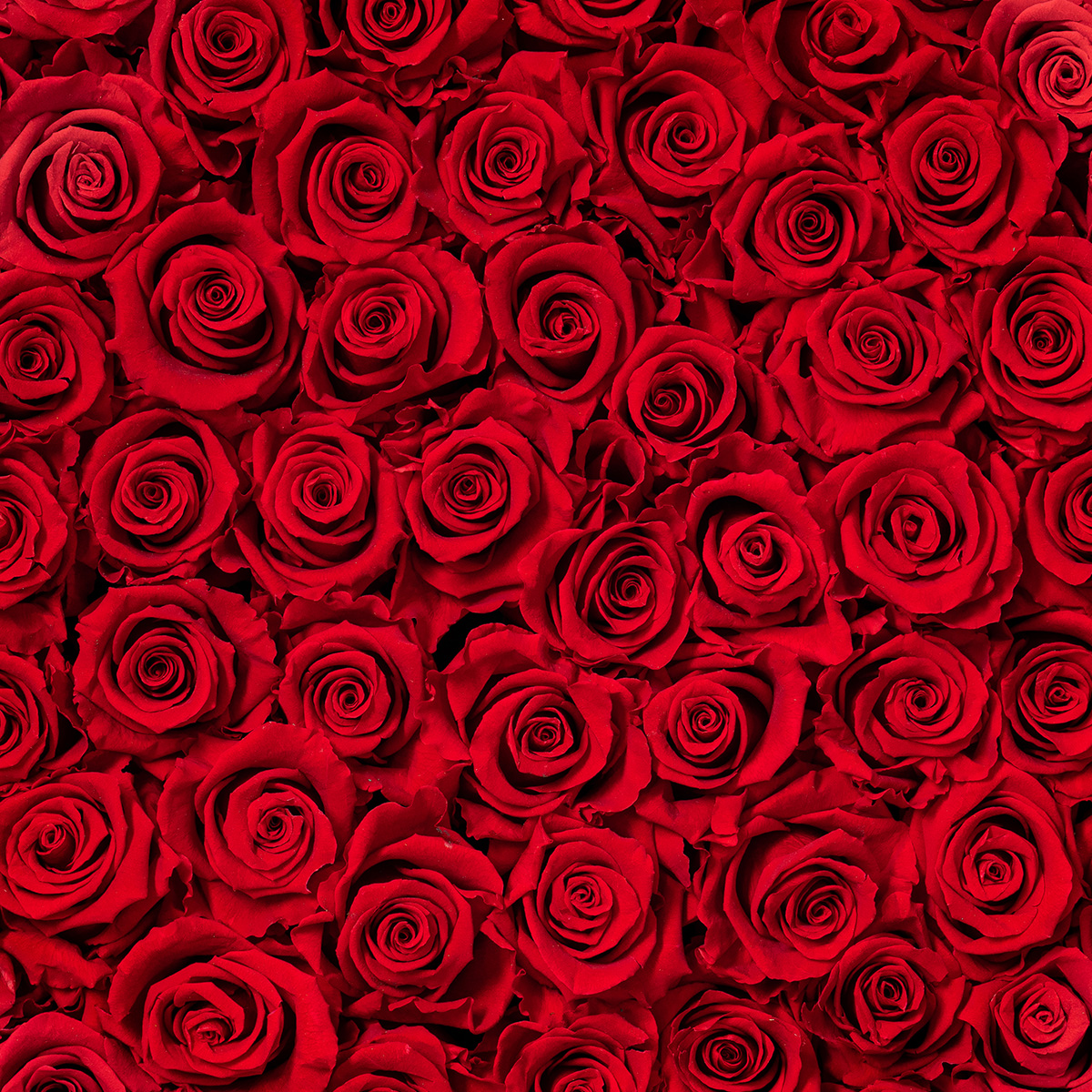 Floral Wall