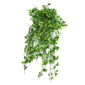 Light Green Ivy UV