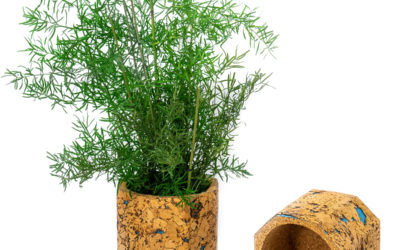 Vase Forest Drops Octogon