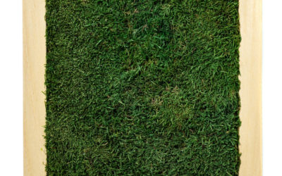 Flat Moss Frame
