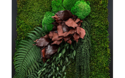 Square Forest Frame